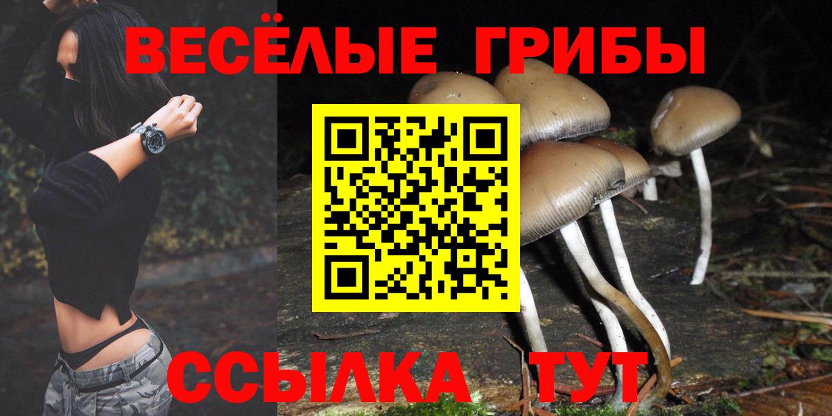 Дмитров  Галлюциногенные грибы MAGIC MUSHROOMS  Вход с VPN 